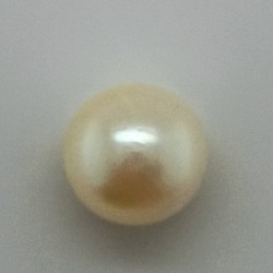 Pearl  (Moti) 6.27 Ct Good Quality